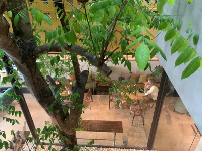 Deja Vu House Ha Long – Fotos 7